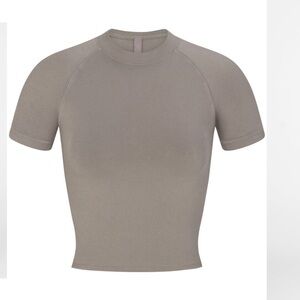 SKIMS New Vintage Cropped Raglan High Neck T-Shirt | Smoke